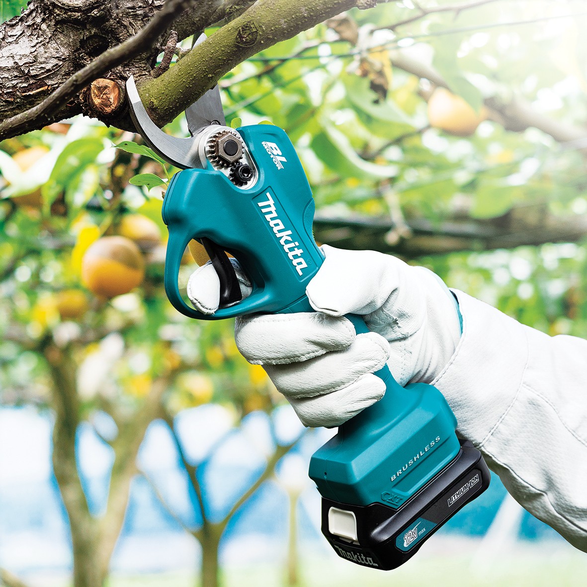 UP100DSMJ-12V Max Brushless Pruning Shear Kit