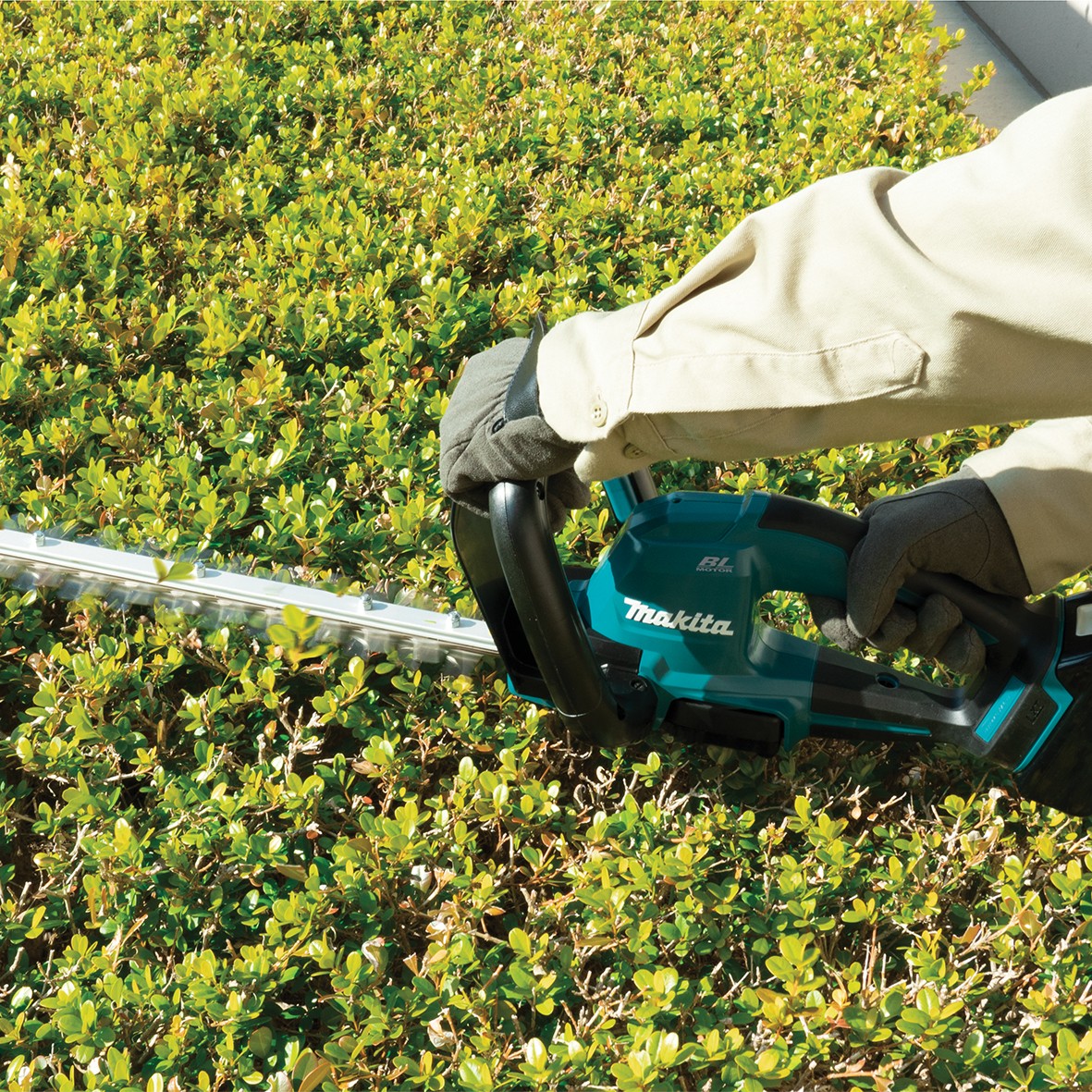DUH606ST-18V Brushless 600mm Hedge Trimmer Kit