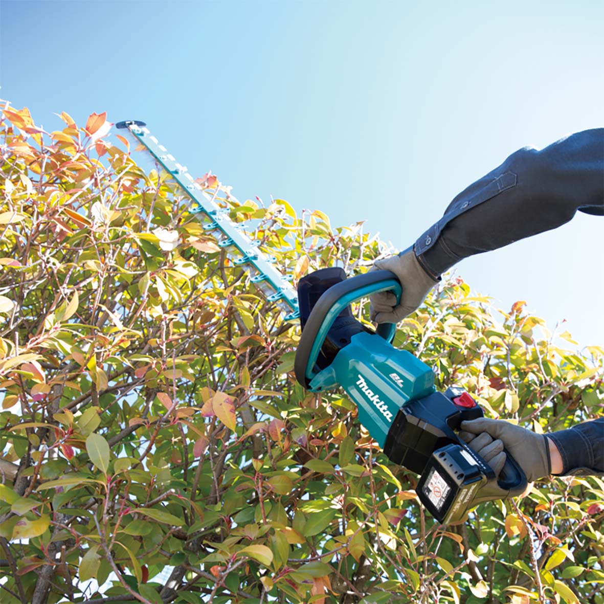 DUH752RT- 18V Brushless Hedge Trimmer 750mm Kit